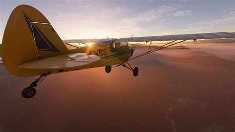 fly away simulation